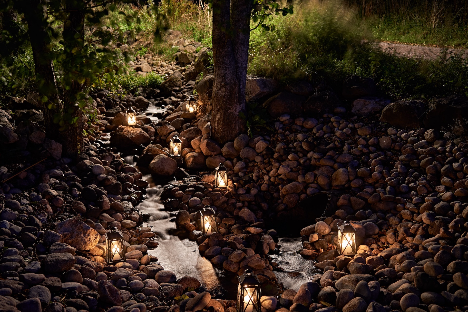 Slide Image